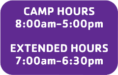 Hours Purple Box Camp Hpurs