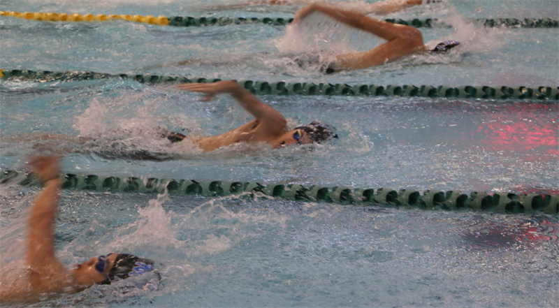 SwimTeam SwimTeam