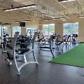 Free-weights Free-weights